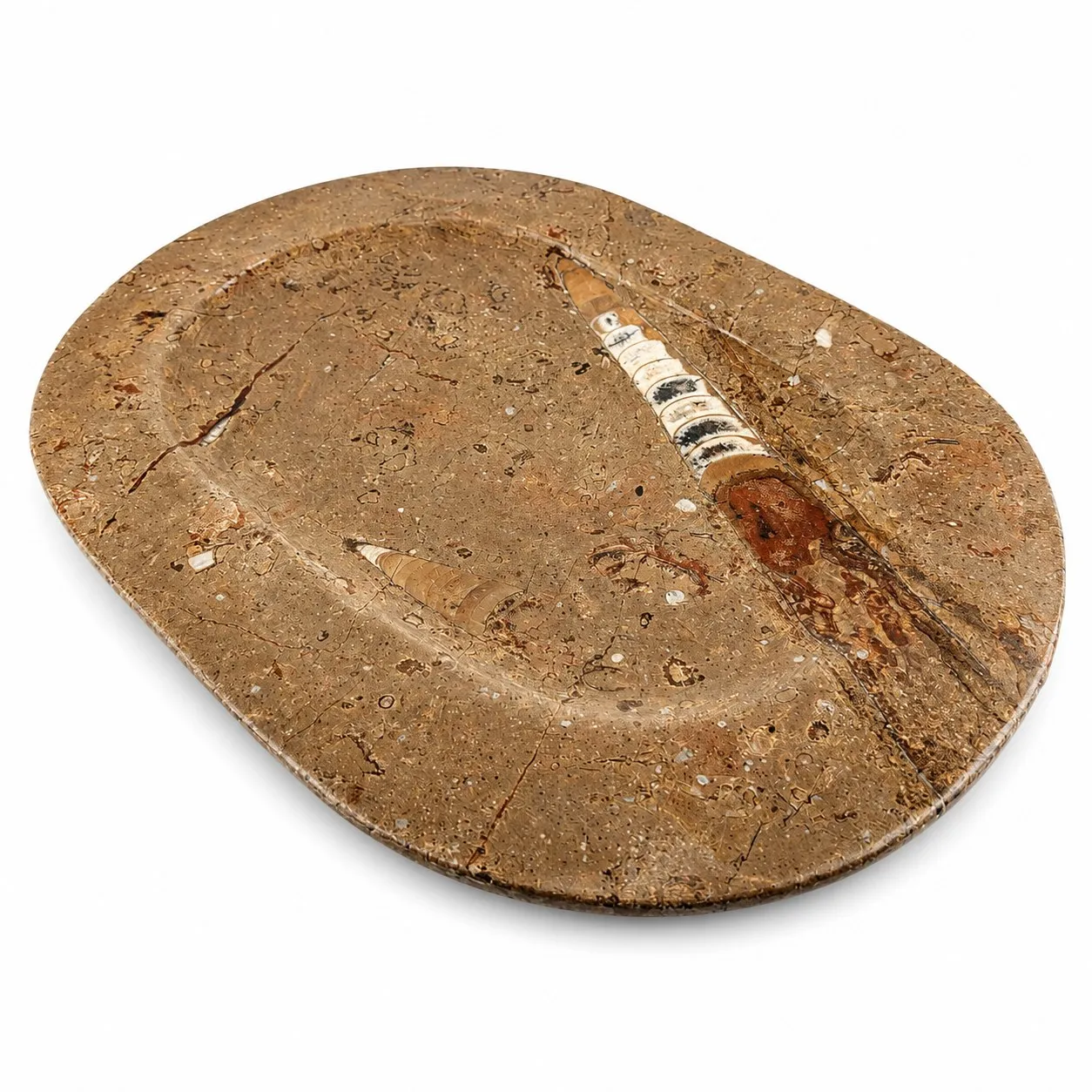 Plato de Fósil de Orthoceras de Marruecos 34 cm