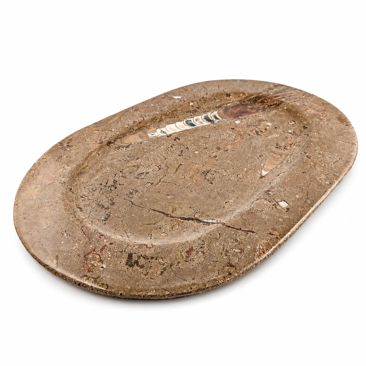 Plato de Fósil de Orthoceras de Marruecos 34 cm