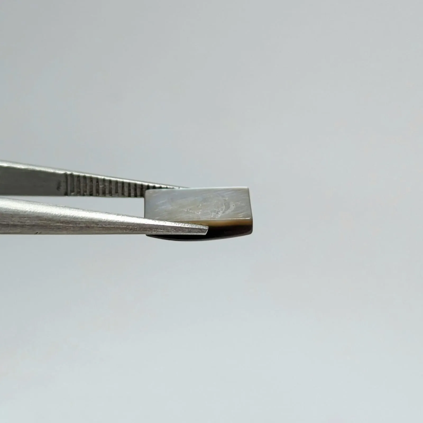 Abulón Facetado Rectangular 10 mm x 6 mm