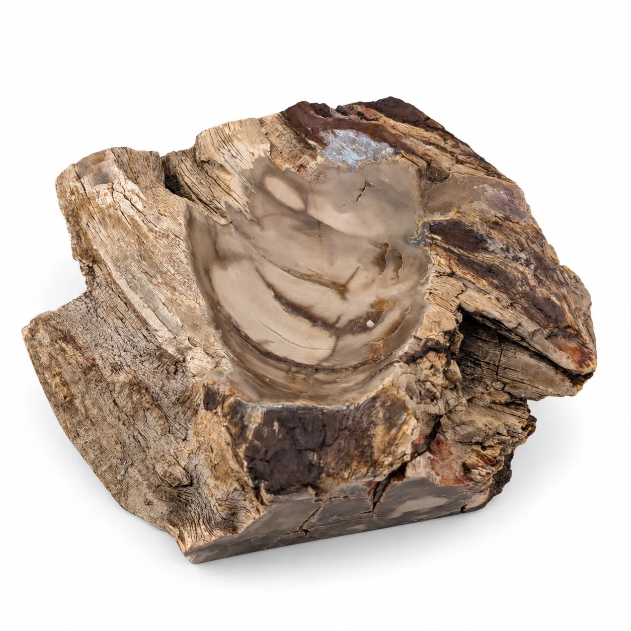 Bowl de madera petrificada 13.5 cm