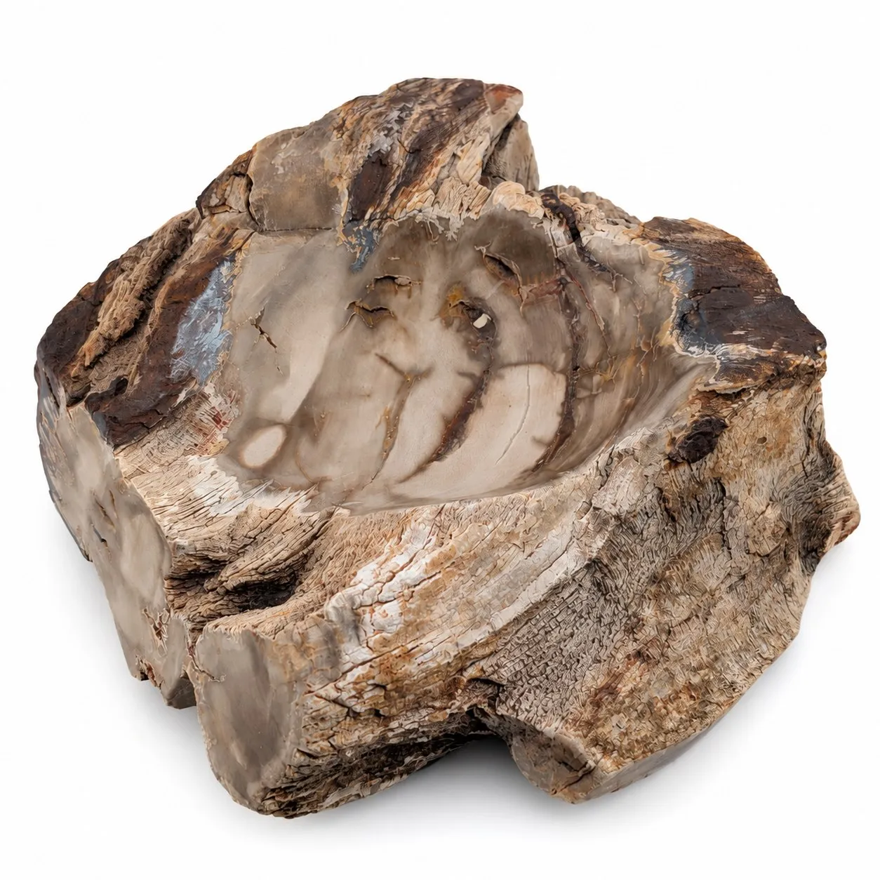 Bowl de madera petrificada 13.5 cm