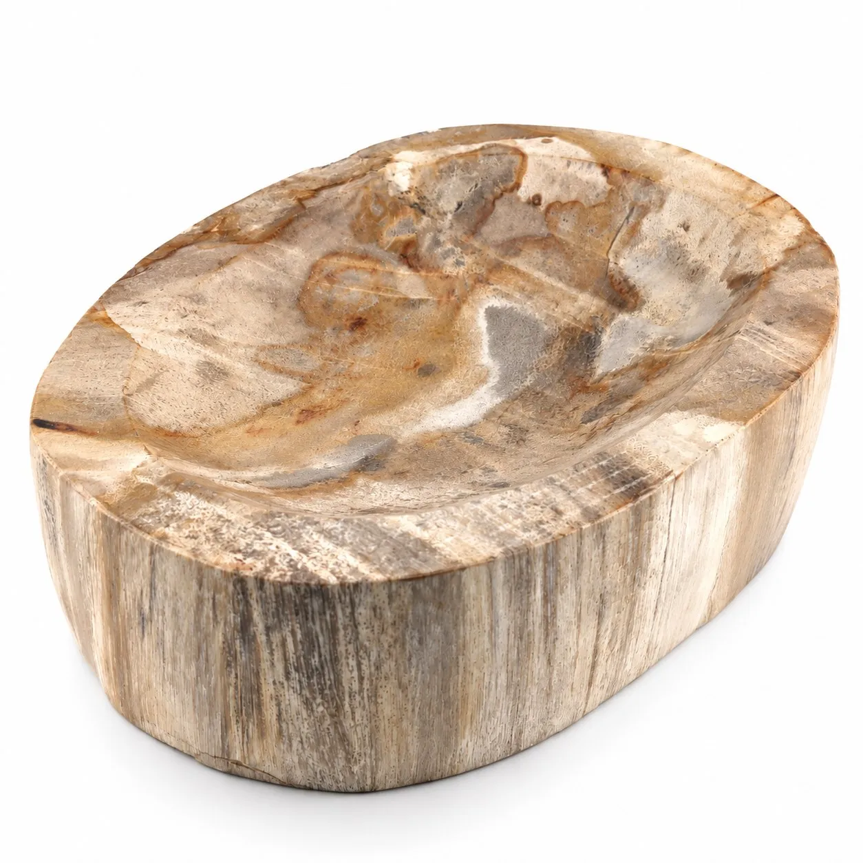 Bowl de madera petrificada 16 cm