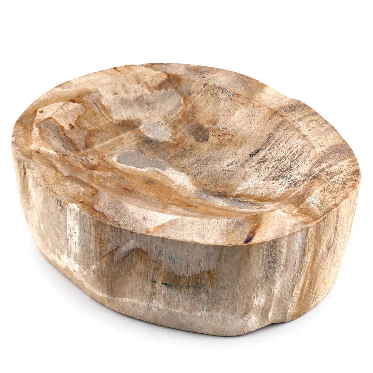 Bowl de madera petrificada 16 cm