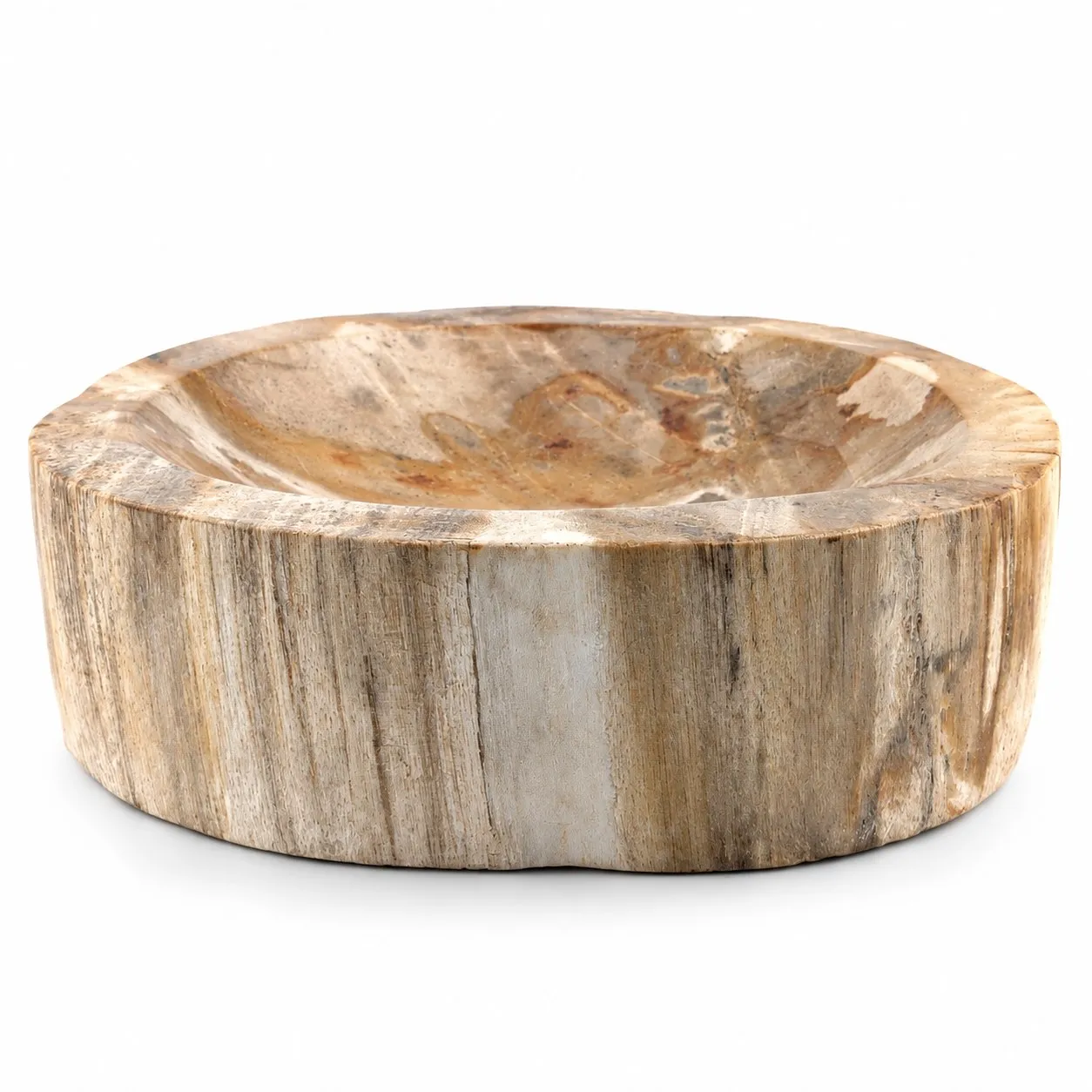 Bowl de madera petrificada 16 cm