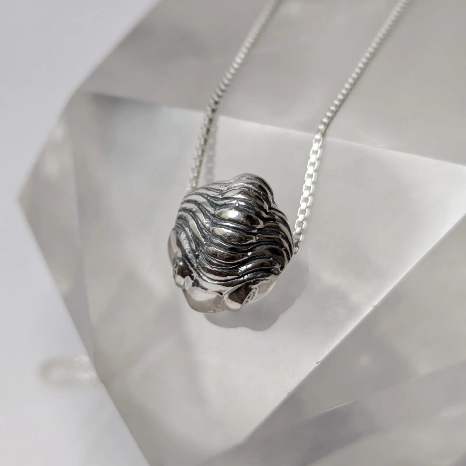 Collar De Trilobite