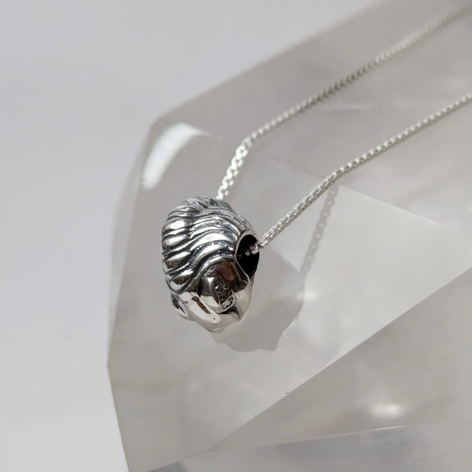 Collar De Trilobite