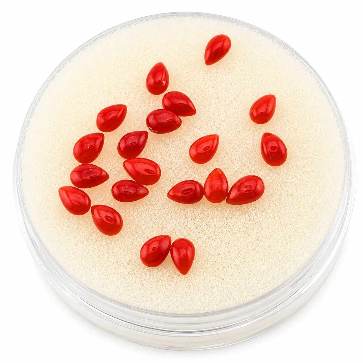 Coral rojo Cabuchón Gota 3 mm x 5 mm