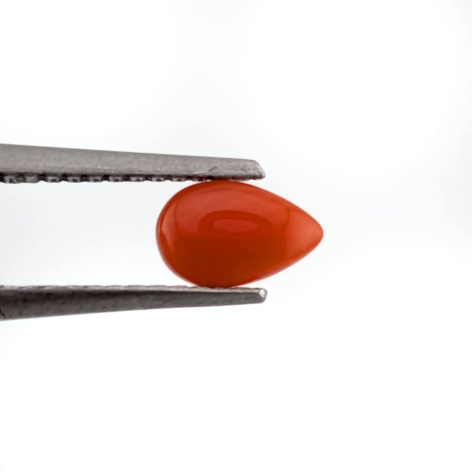 Coral rojo Cabuchón Gota 3 mm x 5 mm