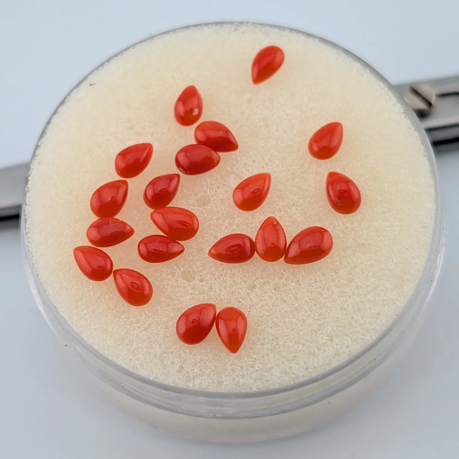 Coral rojo Cabuchón Redondo 2 mm