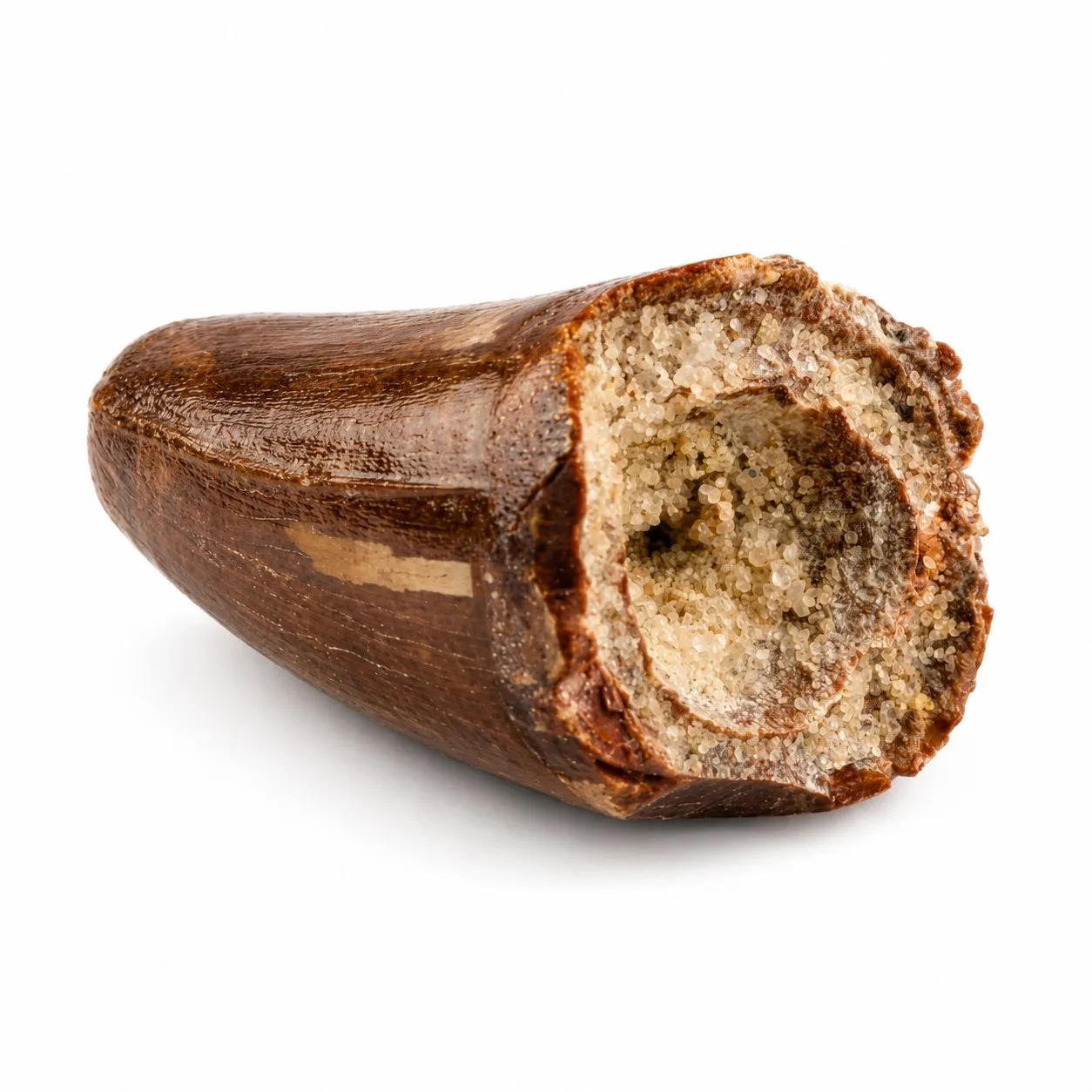 Diente de cocodrilo