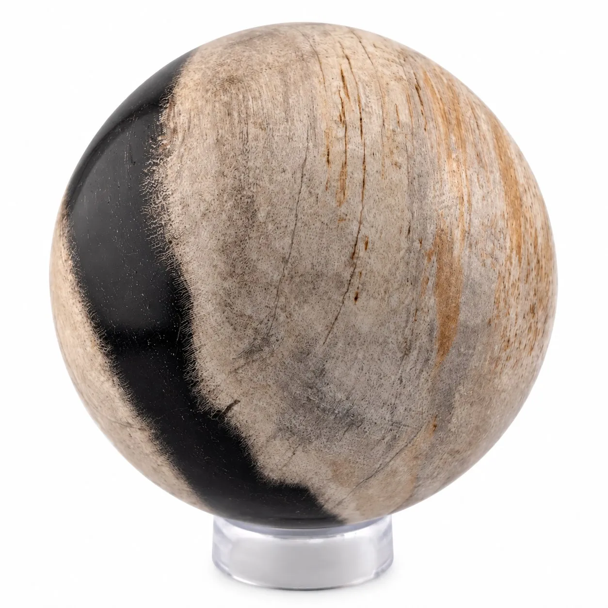 Esfera de Madera Petrificada de Indonesia 8 cm