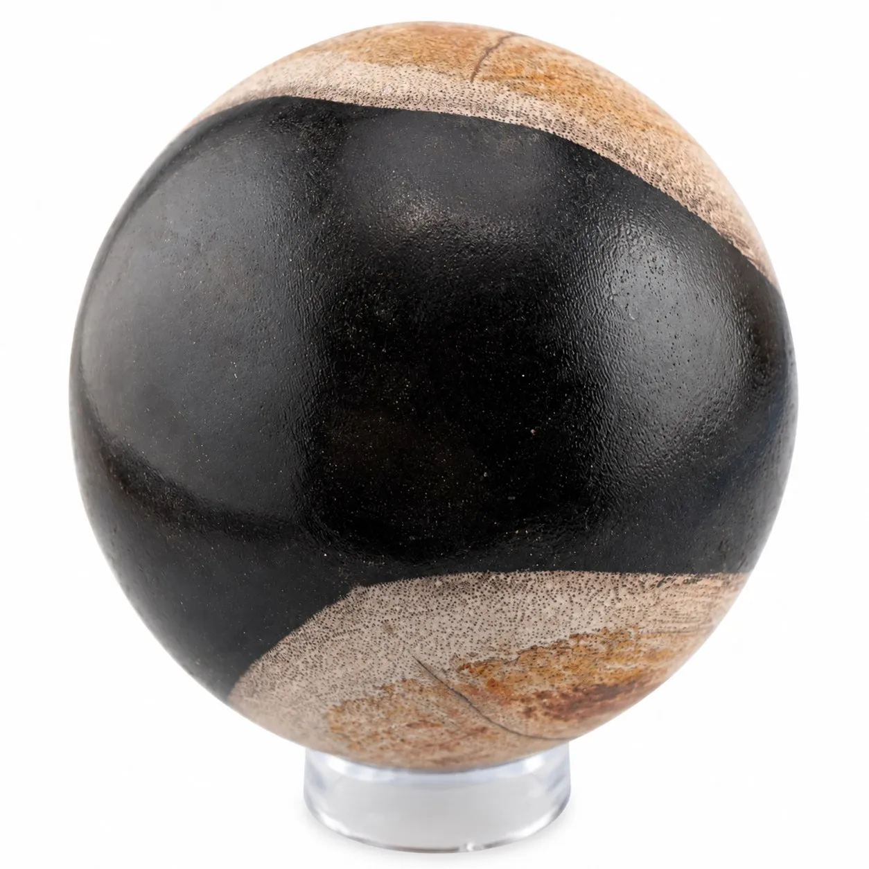 Esfera de Madera Petrificada de Indonesia 8 cm