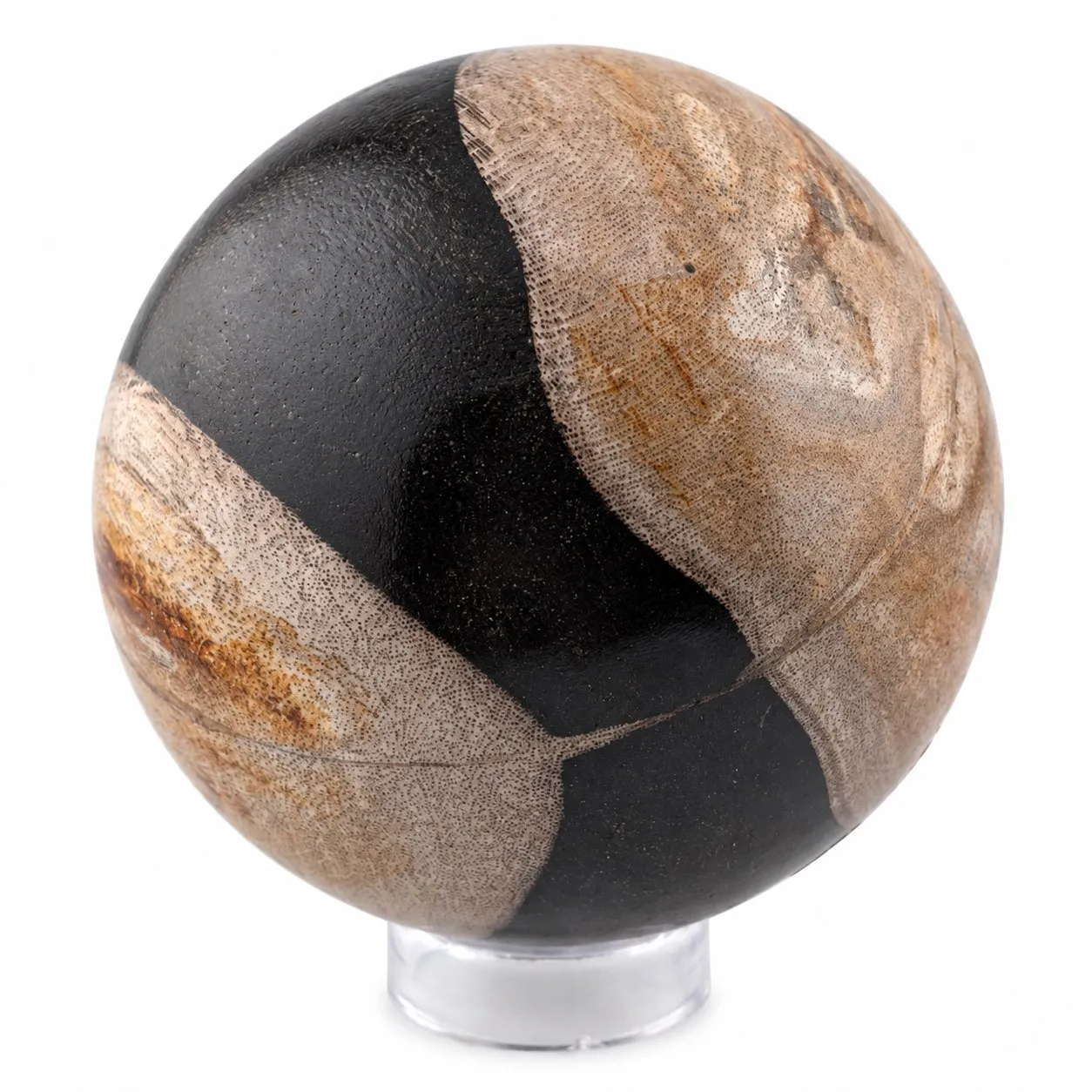 Esfera de Madera Petrificada de Indonesia 8 cm