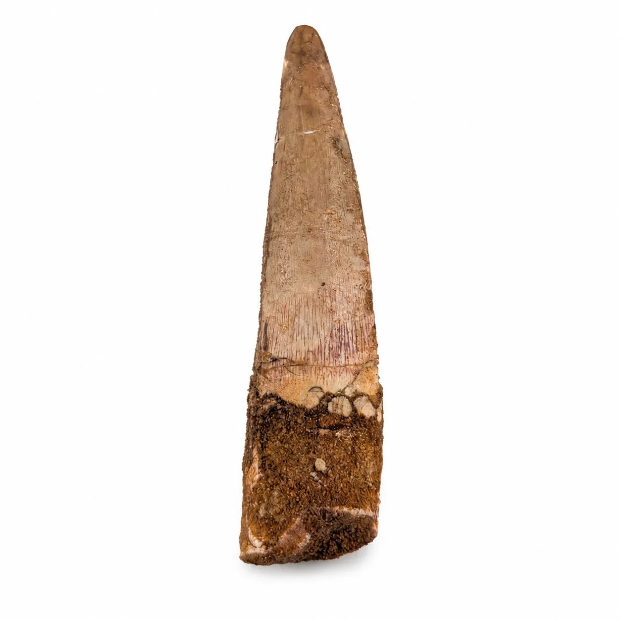 Espinosaurio 5cm