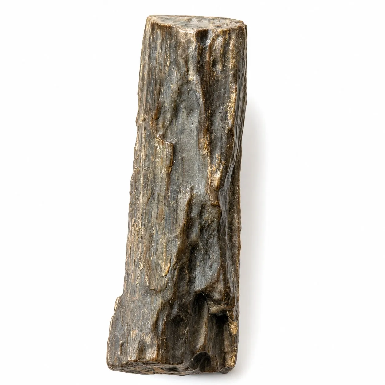Fósil de Madera Petrificada 11 x 3 cm