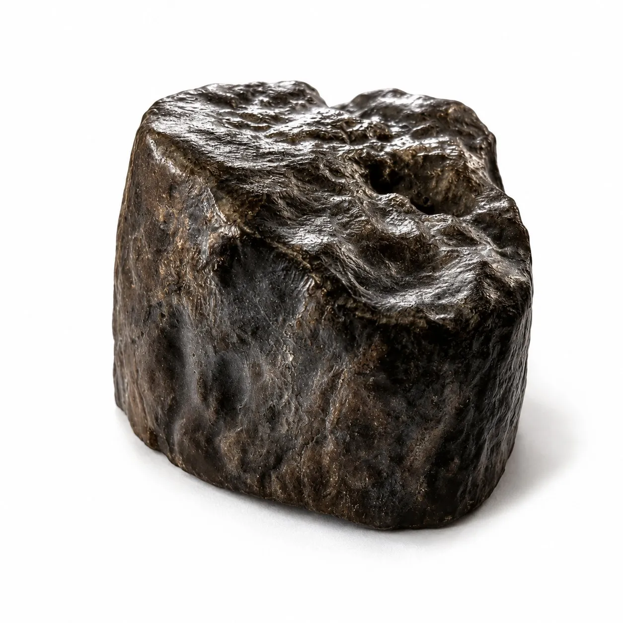 Fósil de Madera Petrificada 5 x 3 cm