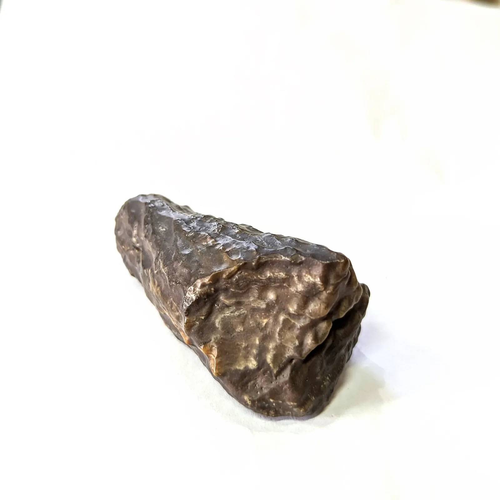 Fósil de Madera Petrificada 9 x 3 cm