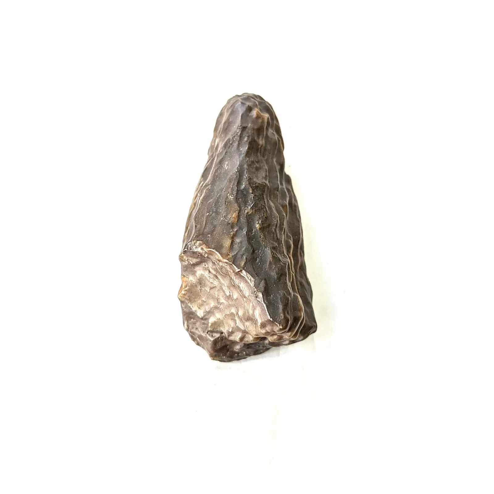Fósil de Madera Petrificada 9 x 3 cm