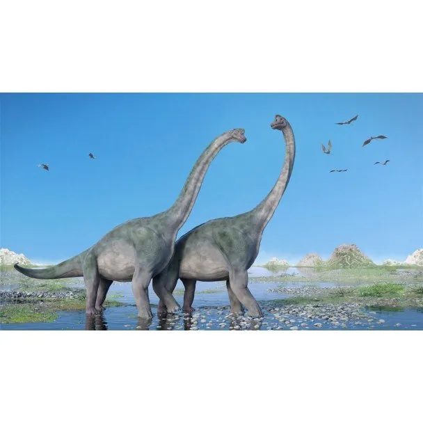 Hueso fósil de Sauropodo 20 cm