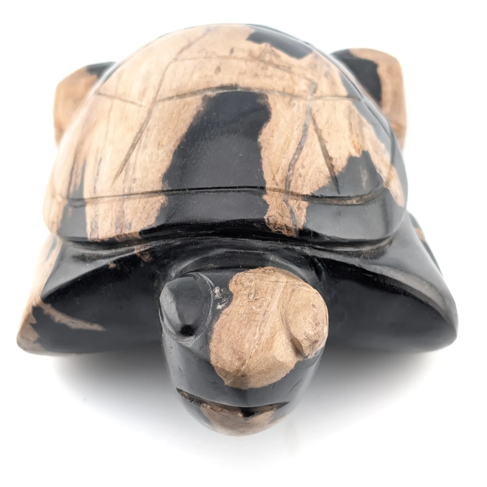 Tortuga de madera petrificada