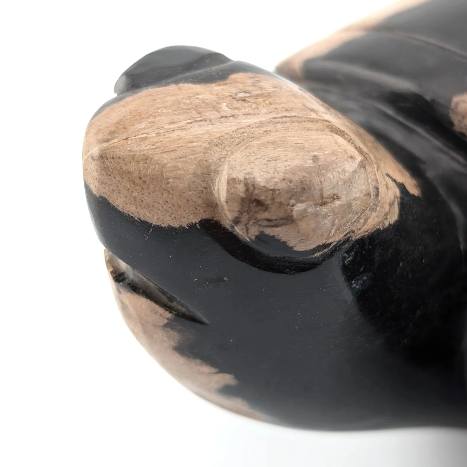 Tortuga de madera petrificada