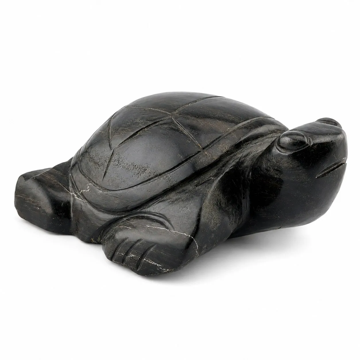 Tortuga de madera petrificada