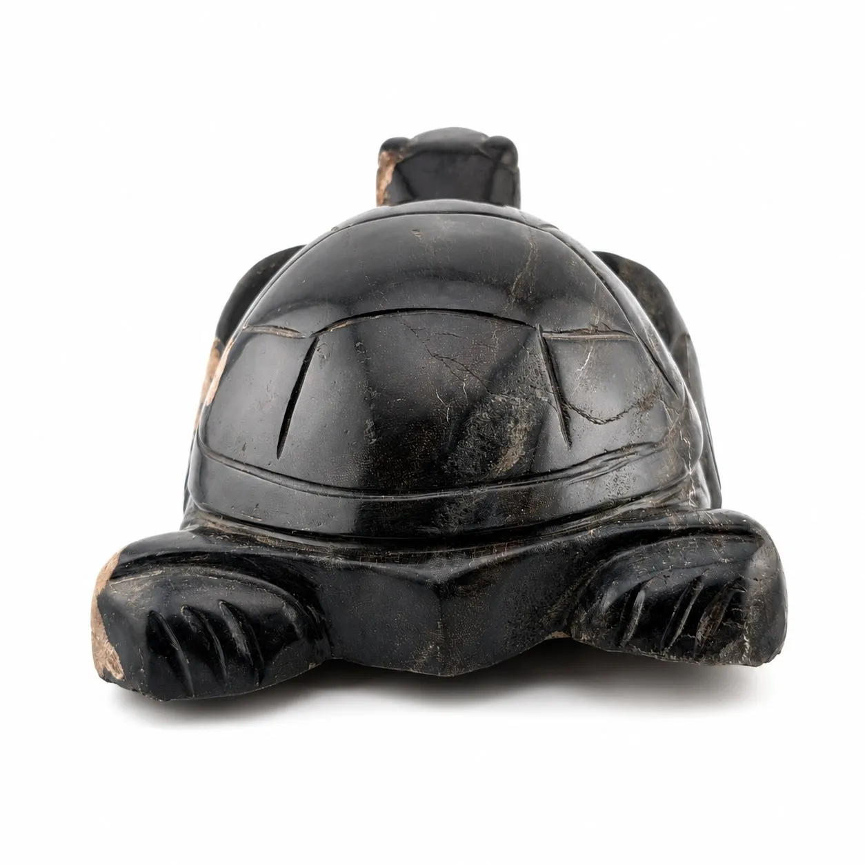 Tortuga de madera petrificada