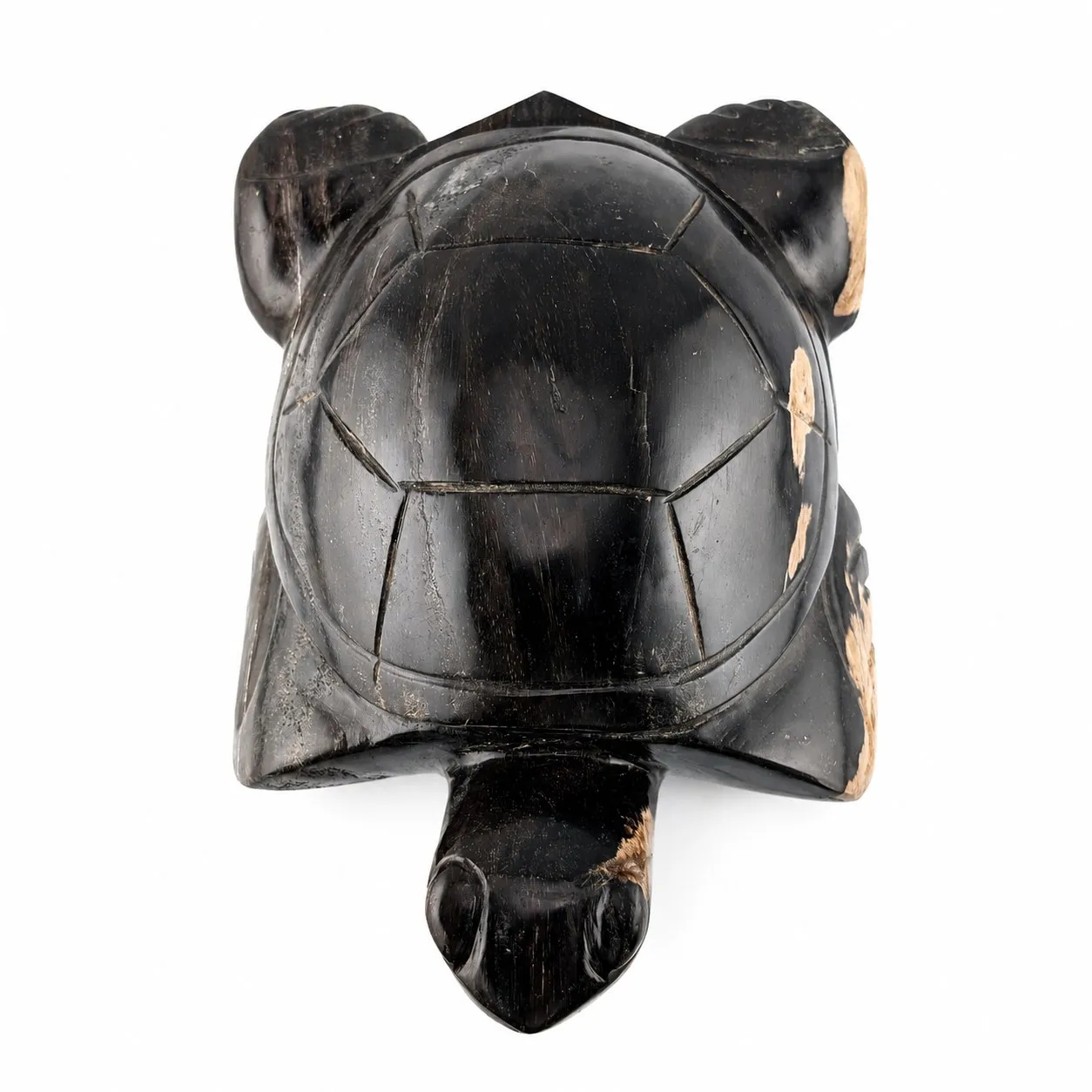 Tortuga de madera petrificada