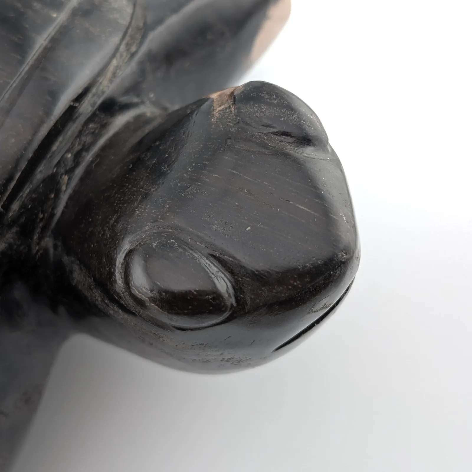 Tortuga de madera petrificada